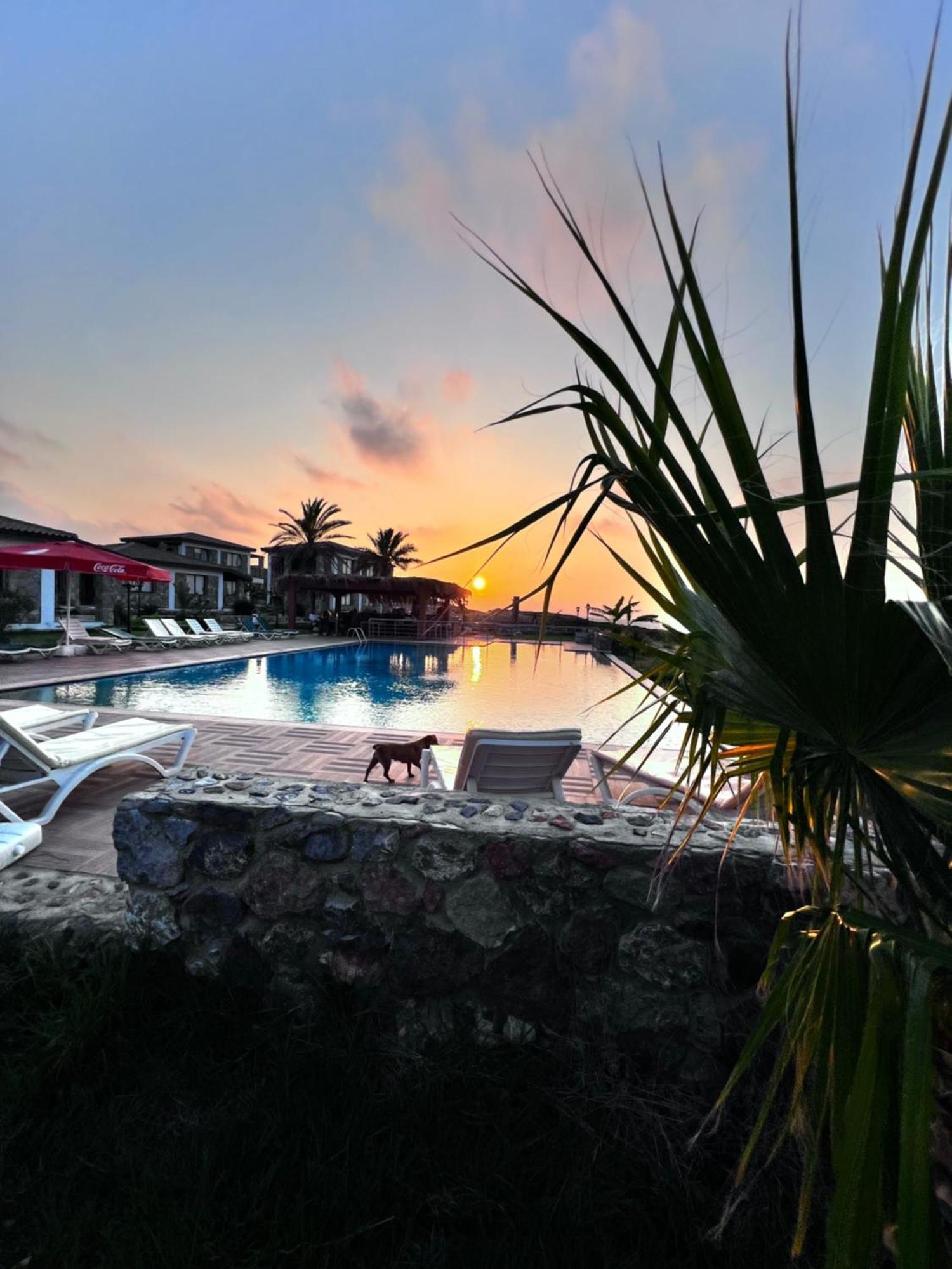 Ardic Agaci Holiday Village Фамагуста Екстериор снимка